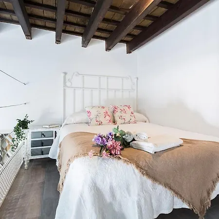 Casa Antonia I